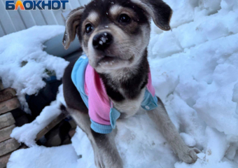 Из-за непогоды в Ростове ввели режим повышенной готовности  