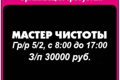 Мастер чистоты в организацию, з/п 30 т.р. - 