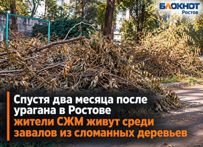 Спустя два месяца после урагана в Ростове жители СЖМ живут среди завалов из сломанных деревьев
