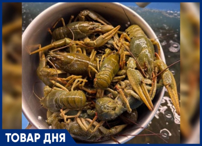ТОВАР ДНЯ: Рак «Маныч» Отборный — 2099 рублей за килограмм