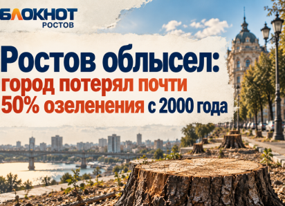 Ростов облысел: город потерял почти 50% озеленения с 2000 года