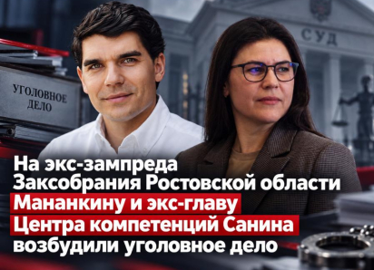Уголовное дело возбудили на экс-зампреда Заксобрания Ростовской области Мананкину и экс-главу Центра компетенций Санина 
