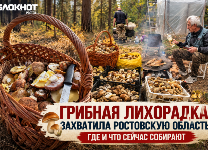 Грибная охота по-ростовски: заядлый грибник рассказал о любителях тихой охоты на Дону