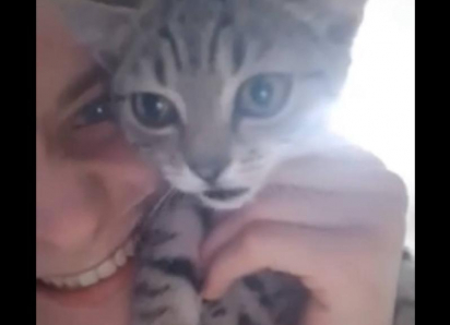 Угрозы убить семью и свастика — так ответил парень в Ростове зоозащитникам на вопрос о пропаже собаки