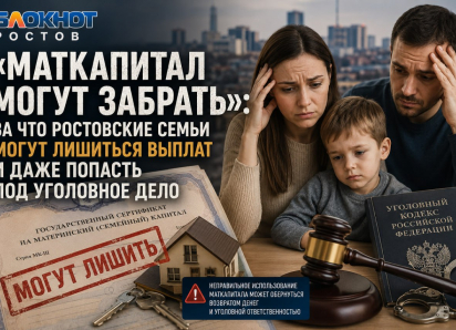 «Маткапитал могут забрать»: за что ростовские семьи могут лишиться выплат и даже попасть под уголовное дело 