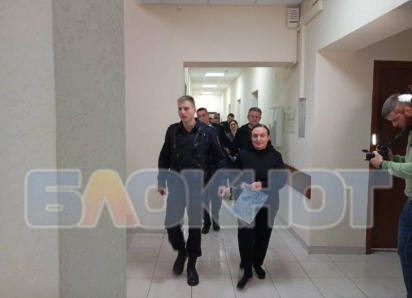 СК расследует еще одно уголовное дело в отношении экс-главы Ростовского облсуда Золотаревой