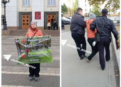 Пикетчицу с плакатом против вырубки Кумженской рощи задержали в Ростове