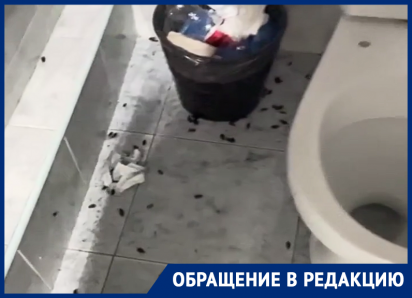 В стоматологической поликлинике №4 Ростова пациента встретили не врачи, а тараканы