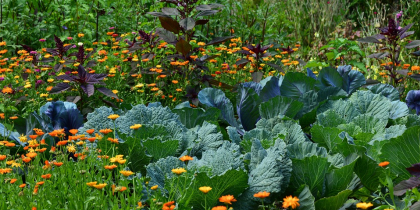 Делаем гимнастику и бережем спину: как ростовчанам сохранить здоровье во время работы в огороде