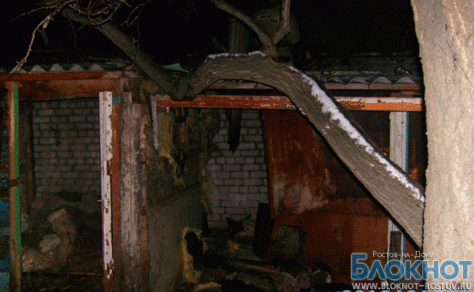 На пожаре в Ростовской области погибли дети-двойняшки