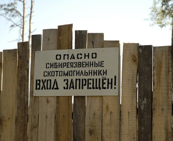 В Ростовской области более 260 бесхозных скотомогильников угрожают здоровью людей