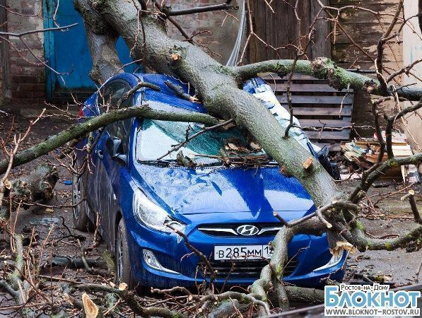 В Ростове упавшее дерево раздавило припаркованный возле гаража «Хендай»