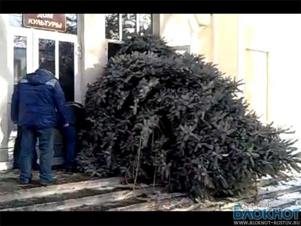 Новогодняя елка из Таганрога, застрявшая в дверях ДК, стала хитом Интернета
