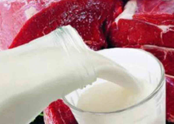 Россия ввела запрет на поставки мяса, рыбы, молока и фруктов из ЕС, Австралии, Канады, США и Норвегии