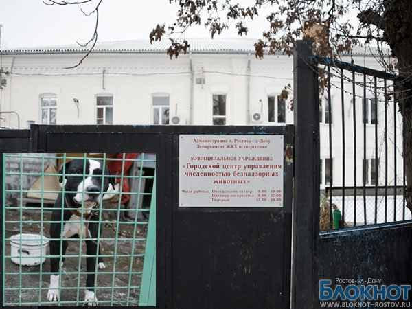 В Ростове Центр безнадзорных животных проверяет ОБЭП
