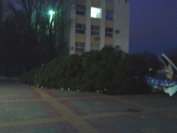 Ростовчане растащили украшения с упавшей елки. Фото