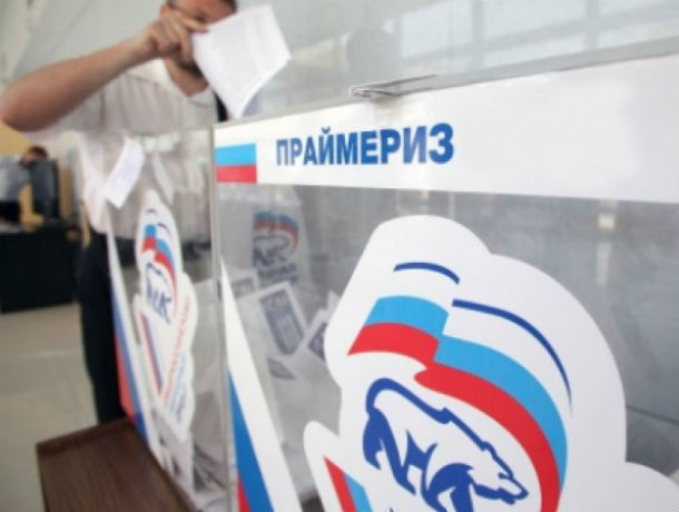 Кандидаты от «Единой России» сэкономили на праймериз в Ростовской области