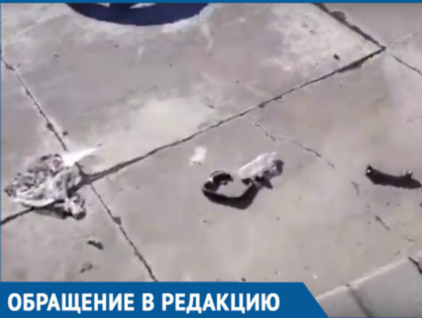 «Вот оно - истинное отношение властей к истории»: горожан возмутил мусор возле стелы освободителям Ростова