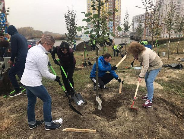 Градоначальник Ростова поручил создать концепцию озеленения города