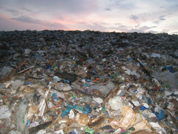Более трех тысяч человек потребовали запретить строительство мусороперерабатывающего завода в Ростове
