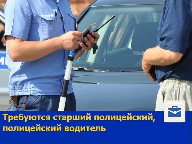 Старшего полицейского и водителя примет на работу вневедомственная охрана в Ростовской области