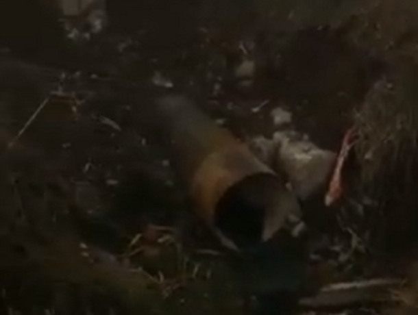 «Это экологическая катастрофа»: жители Новочеркасска обнаружили место сброса канализации в местную реку