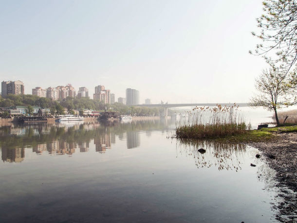 Нельзя пить, купаться и опасна даже для рыб: эксперты МГУ ужаснулись качеству воды в реке Дон