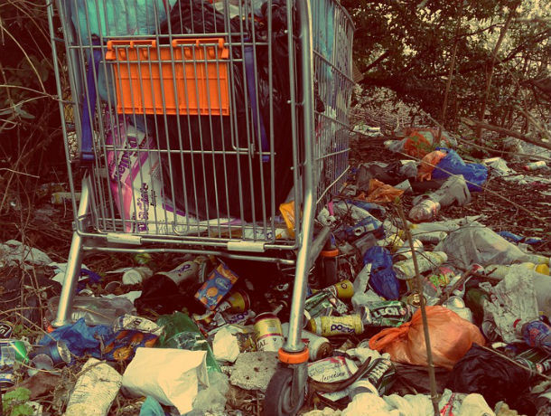 800 рублей за вывоз мусора: ростовчан возмутили цены на коммунальные услуги