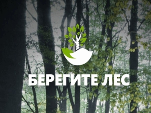 Уникальное мобильное приложение поможет спасти лес Ростова-на-Дону от пожаров