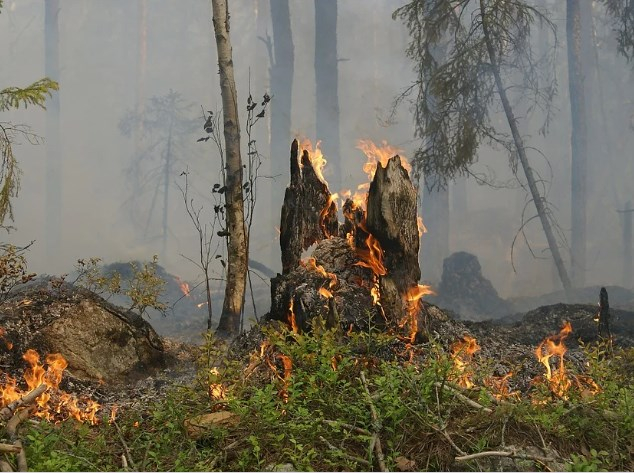 Штраф вырос в 10 раз: какое наказание грозит ростовчанам за случайный пожар