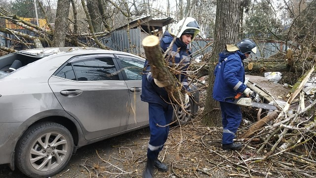В Ростове продолжают падать деревья и страдать автомобили