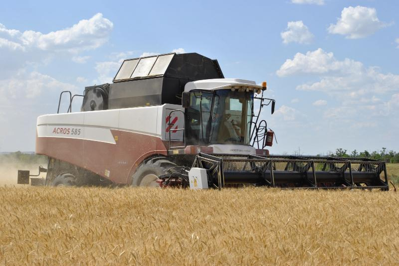 Аграрии Ростовской области собрали первые 1,4 млн тонн зерна в 2022 году