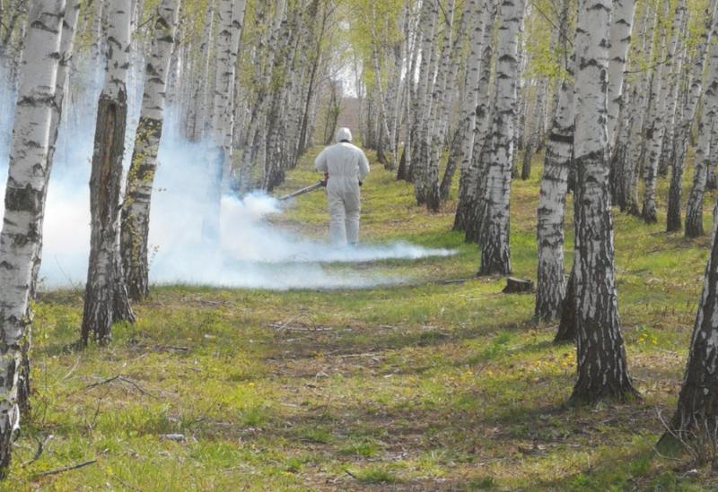Зоны отдыха в Ростове обработали от клещей и комаров
