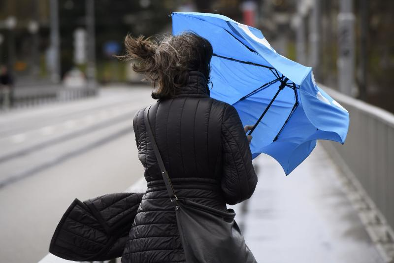 Штормовое предупреждение из-за сильного ветра объявили в Ростове-на-Дону