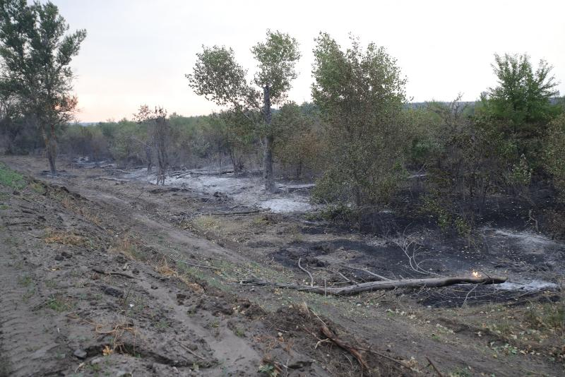 Лесной пожар в Ростовской области локализовали на площади в 311 га