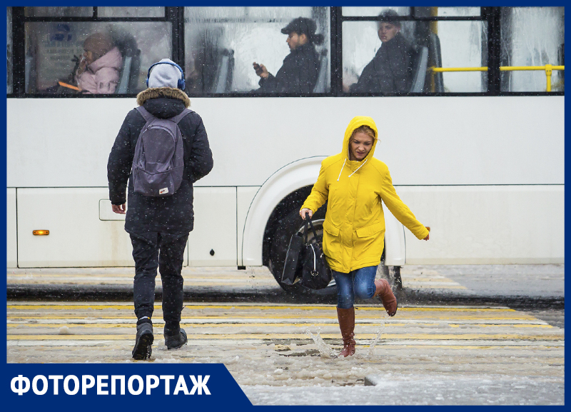Сломанные деревья, оборванные провода и затопленные улицы: показываем последствия снегопада в Ростове