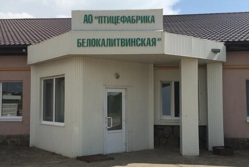Старейшую птицефабрику Ростовской области продают на Avito за 900 млн рублей