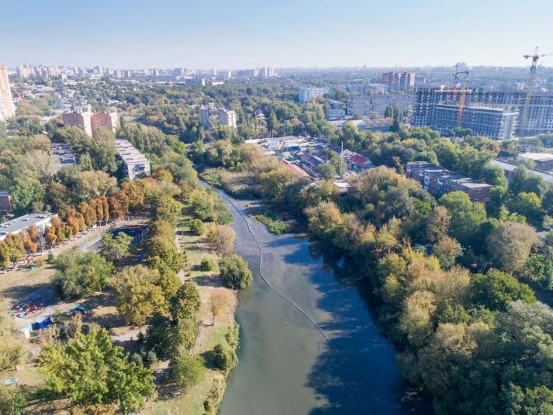 Фото темерника в ростове