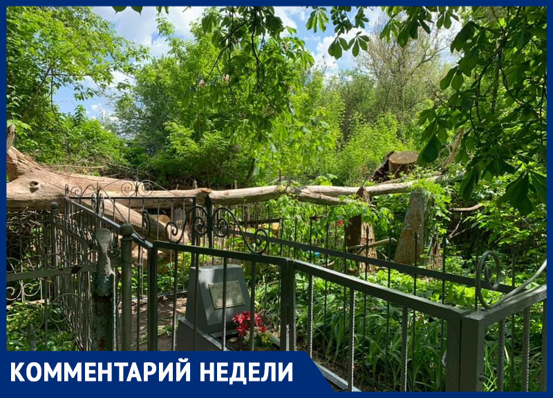 «Как можно говорить о почитании предков, если на кладбищах Ростова творится такое безобразие?» – эксперт регионального ОНФ