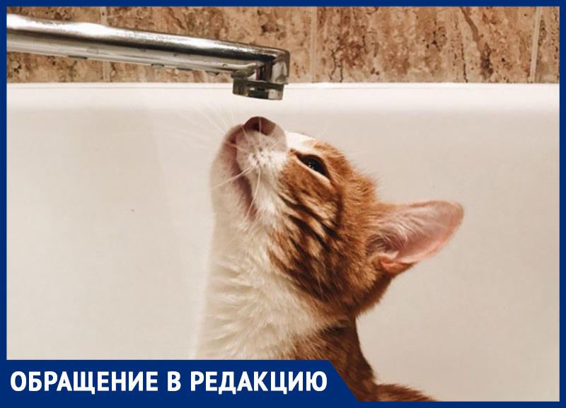 В Ростове у жителей многоквартирного дома 19 дней отсутствует горячая вода