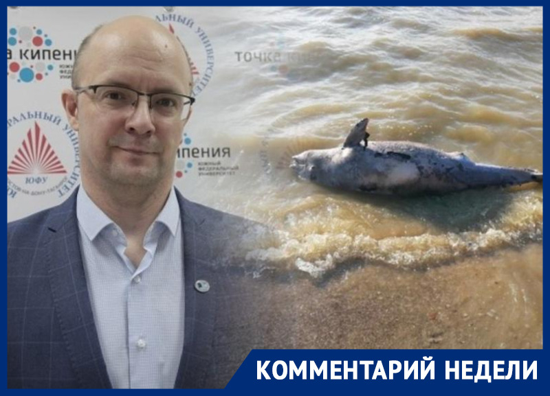 Ученый рассказал о причинах гибели рыбы в Ростовской области