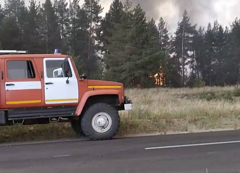 Стала известна причина страшного пожара, который четыре дня бушевал в Ростовской области