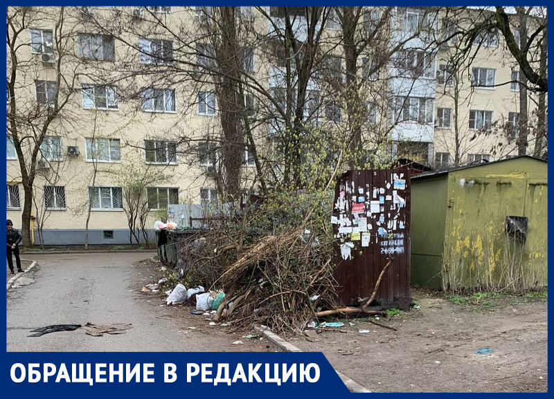 Жители Александровки пожаловались на замусоренную контейнерную площадку