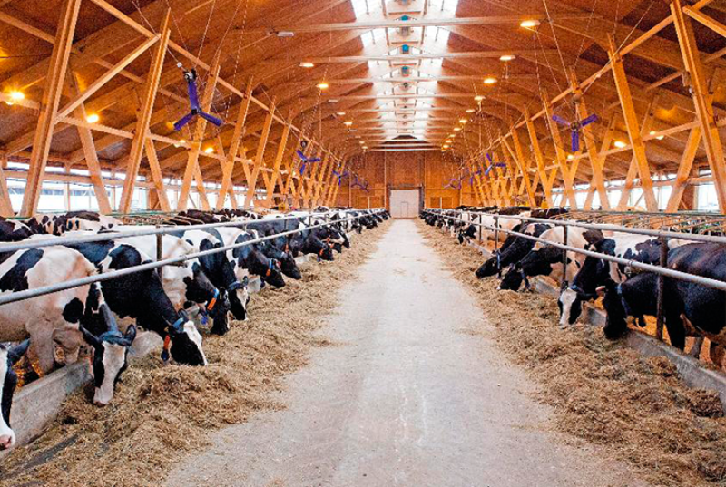 В Ростовской области построят молочную ферму за 2 млрд рублей