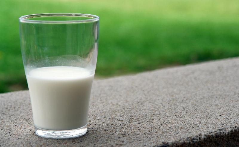В Ростовской области проверят работу заводов, производящих фальсификат молока