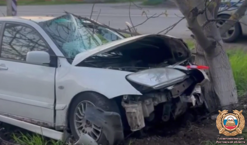 Женщина и двое детей пострадали в ДТП с деревом под Ростовом
