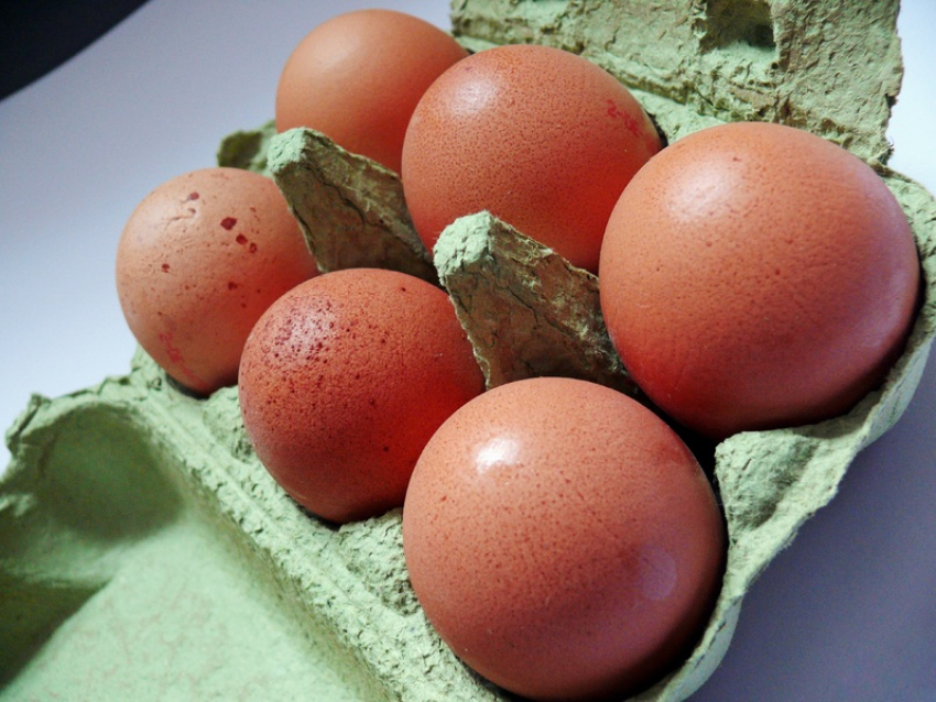 Власти Ростовской области нашли причину падения производства яиц