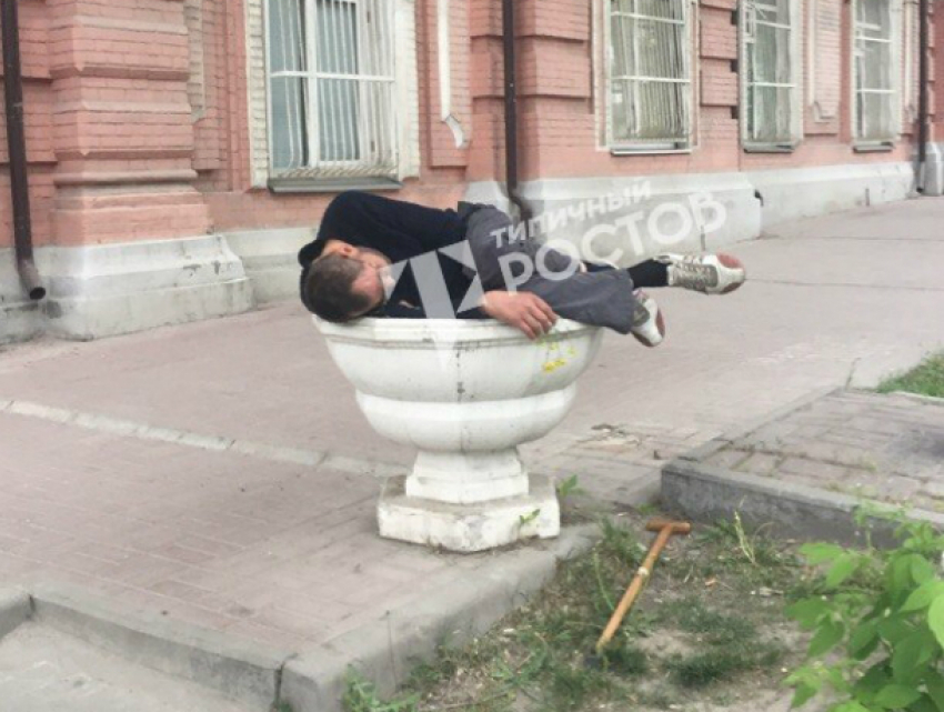 Проросший из цветочного вазона пьяный «воин» у здания комендатуры развеселил жителей Ростова