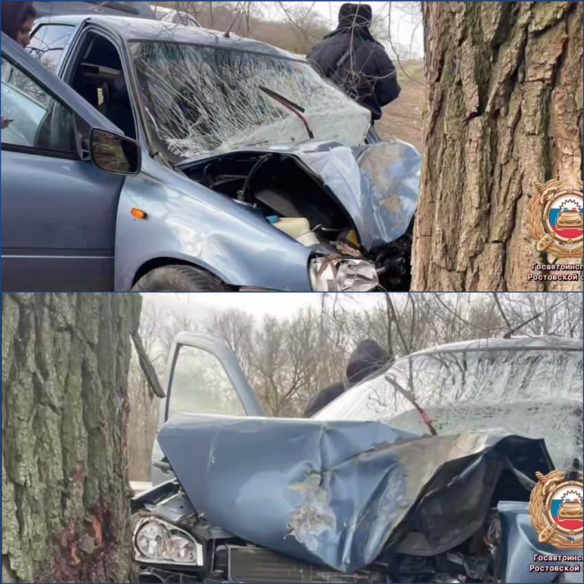 Пожилой водитель погиб, врезавшись в дерево в Ростовской области 