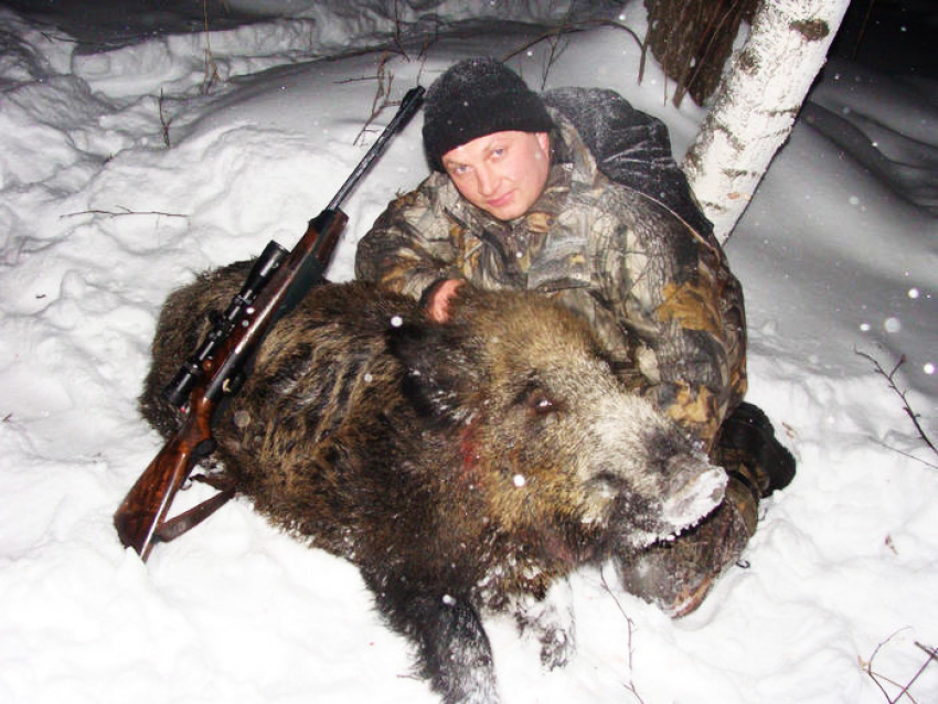 В Ростовской области завершился сезон охоты на кабана и пушных зверей